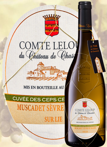 Vino Val de Loire Ch�teau De Chasseloir 2010